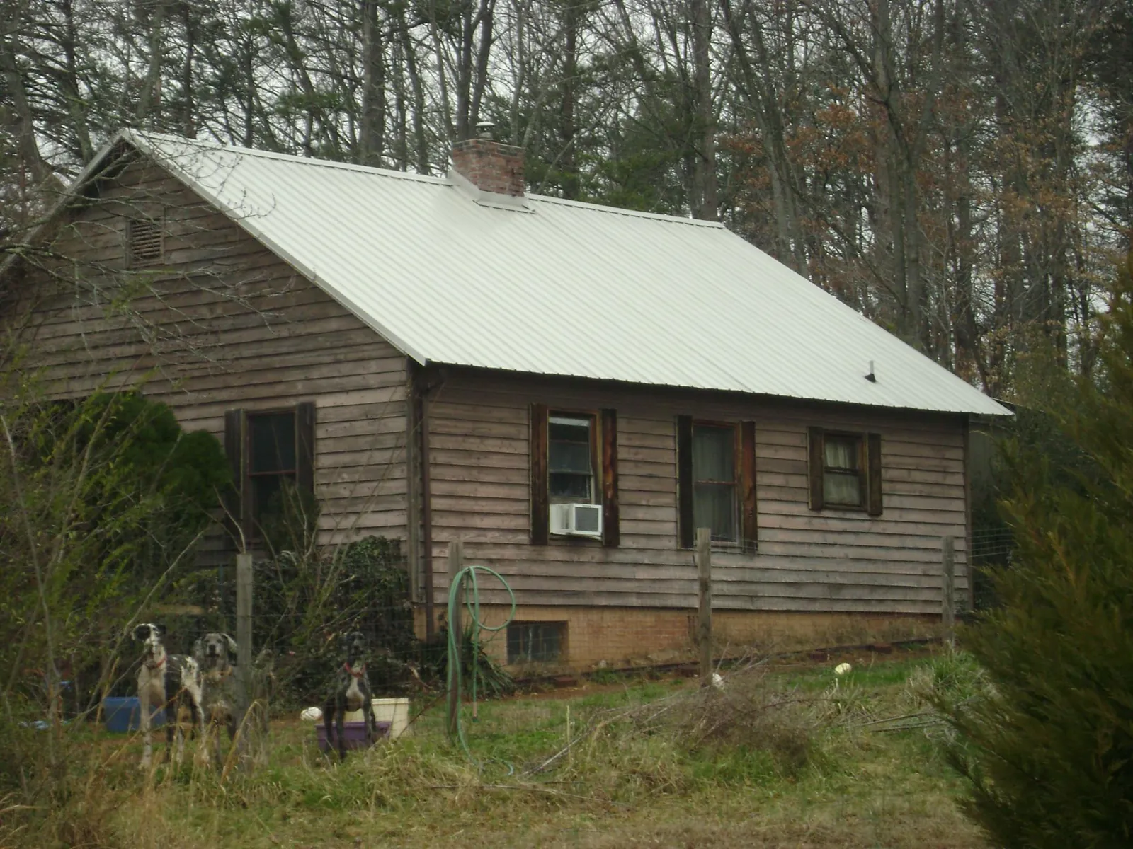 White metal roof on an old wood sided farmhouse, from a Asphalt Shingle Roof Repair job in Butte City